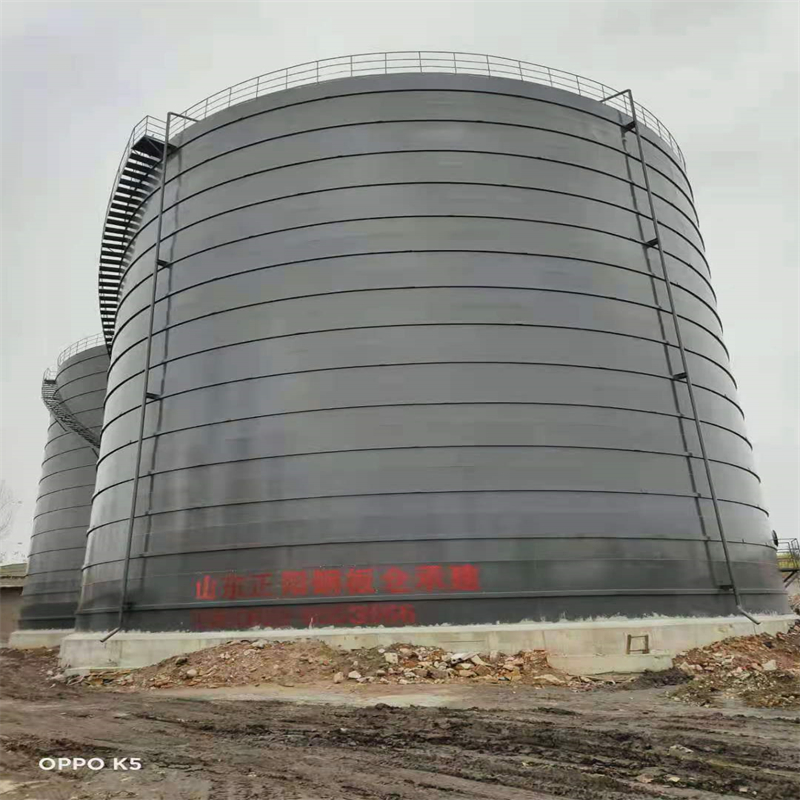 虞城3万吨大型钢板库