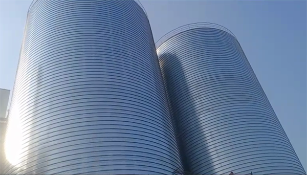 虞城2座混凝土高架卷板仓